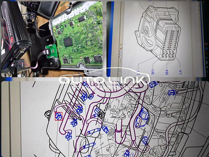 Vehicle Wiring Repair and Remapping